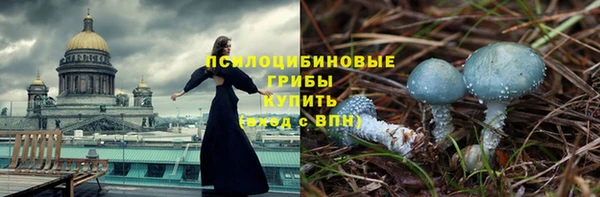 дживик Гусев