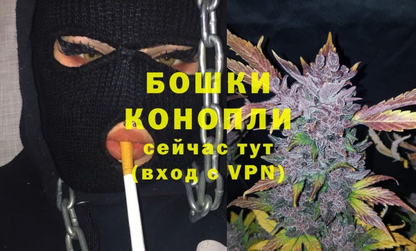 дживик Гусев