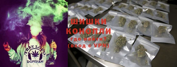 дживик Гусев