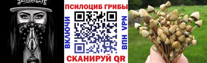 Купить закладки  Добрянка  Галлюциногенные грибы ЛСД 